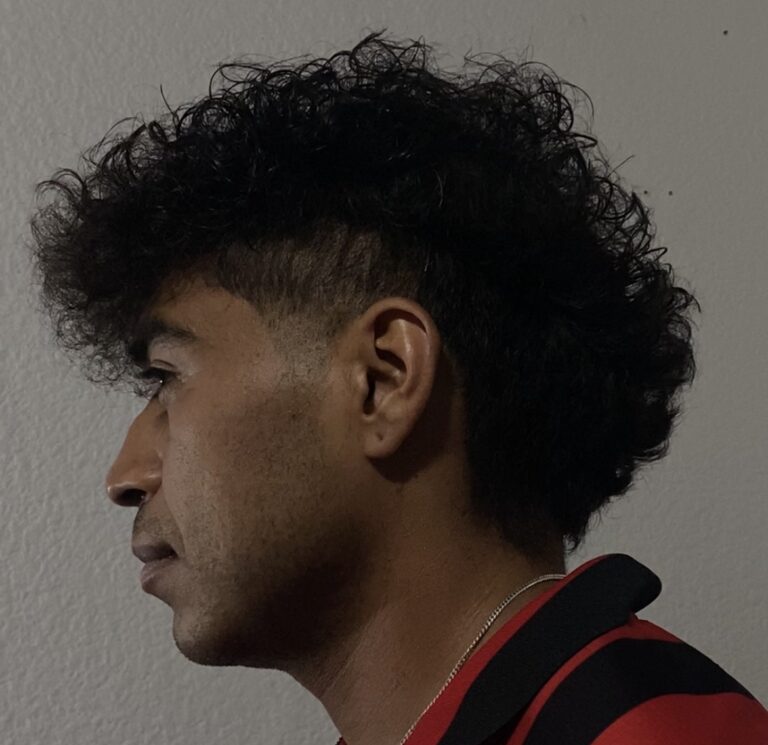 Mullet Fade