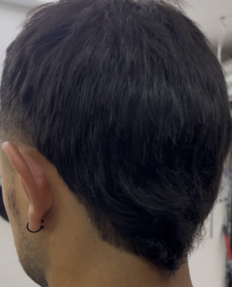 Mullet Fade